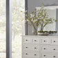 Paragon Beveled Glass Mirror in White