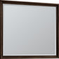 Carlisle Drs Mirror - Pcn Pie