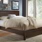 Element Full Size Platform Bed in Chocolate Brown
