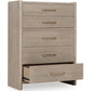 Five Drawer Oak Wood Chest in Chai