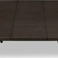 Koko Extendable Rectangular Dining Table in Minx