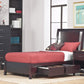 Nevis Full-size Low Profile Storage Bed in Espresso