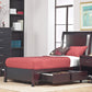 Nevis Full-size Low Profile Storage Bed in Espresso
