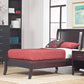 Nevis California King Size Low Profile Sleigh Bed in Espresso