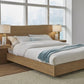 One Coastal Modern Queen-size Live Edge Wall Bed with Floating Nightstands in Bisque