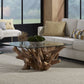One Solid Teak Root Glass Top Coffee Table
