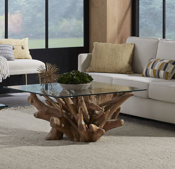 One Solid Teak Root Glass Top Coffee Table