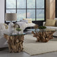 One Solid Teak Root Glass Top Coffee Table
