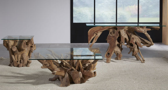 One Solid Teak Root Glass Top End Table