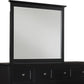 Paragon Beveled Glass Mirror in Black