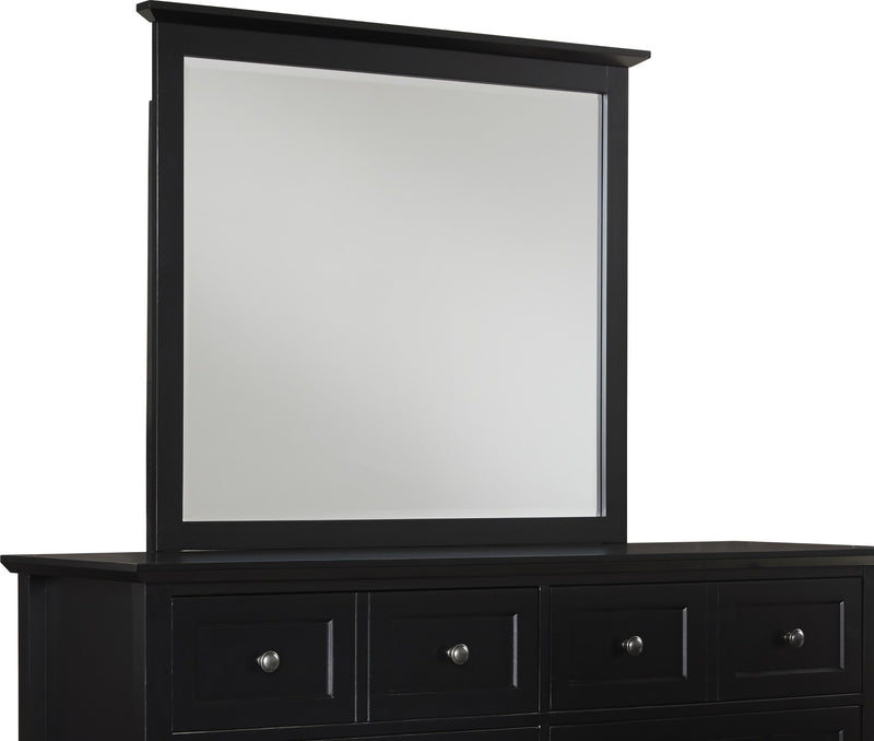 Paragon Beveled Glass Mirror in Black