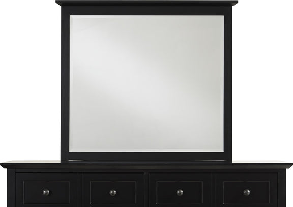 Paragon Beveled Glass Mirror in Black