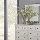 Paragon Beveled Glass Mirror in White