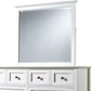Paragon Beveled Glass Mirror in White