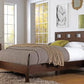 Riva Twin-size Platform Bed in Chocolate Brown