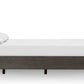 Riva Queen-size Platform Bed in Sharkskin