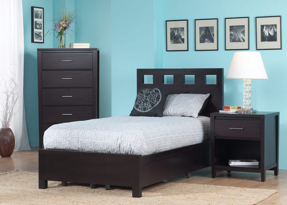 Riva King-size Platform Storage Bed in Espresso