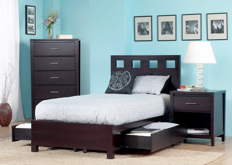 Riva Queen-size Platform Storage Bed in Espresso
