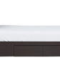 Riva Queen-size Platform Storage Bed in Espresso