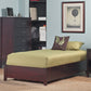 Simple California King-size Platform Storage Bed in Espresso