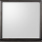 Xolani Beveled Glass Wall or Dresser Mirror in Jaguar