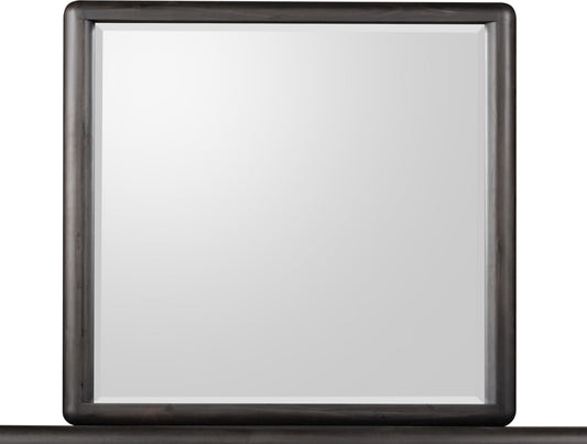 Xolani Beveled Glass Wall or Dresser Mirror in Jaguar