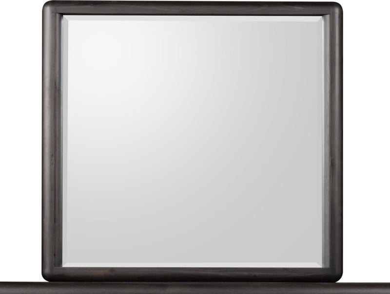 Xolani Beveled Glass Wall or Dresser Mirror in Jaguar