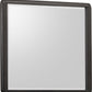 Xolani Beveled Glass Wall or Dresser Mirror in Jaguar