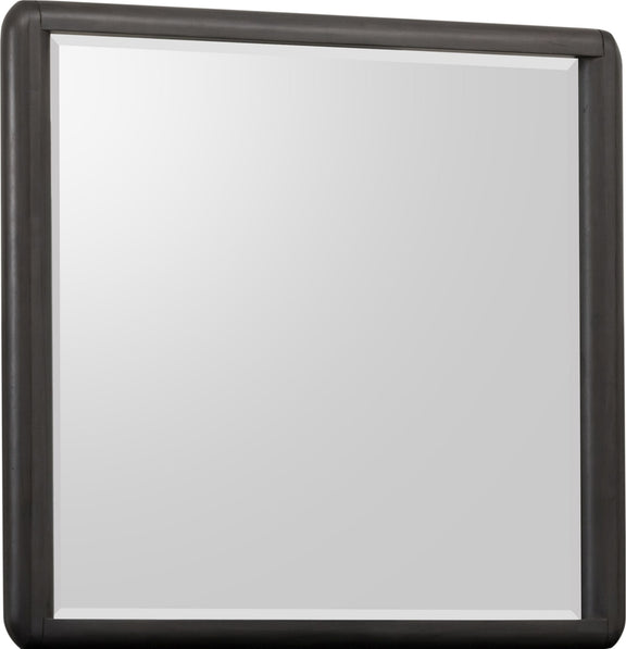 Xolani Beveled Glass Wall or Dresser Mirror in Jaguar