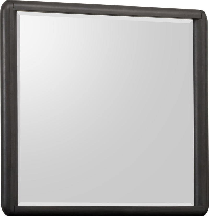 Xolani Beveled Glass Wall or Dresser Mirror in Jaguar