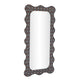 Charlene 39"X75" Squiggle Wall Mirror - Biologic Print