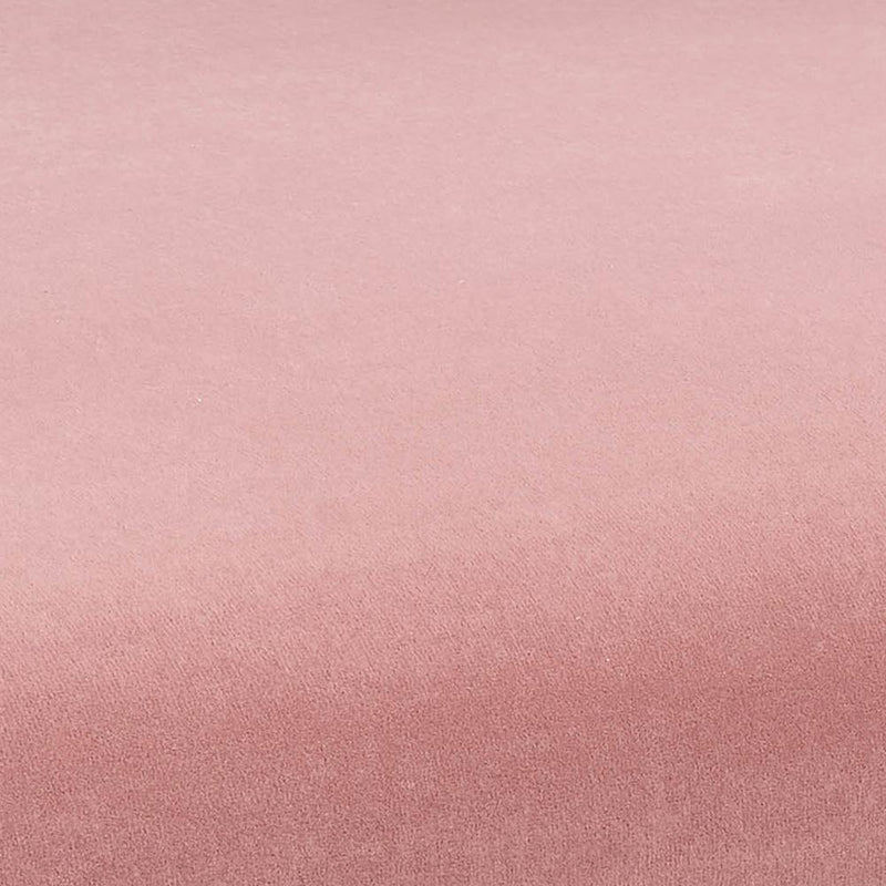 Kim Velvet Chair in Blush