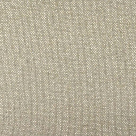 Tiara Cream Performance Basketweave Fabric Dining Chair