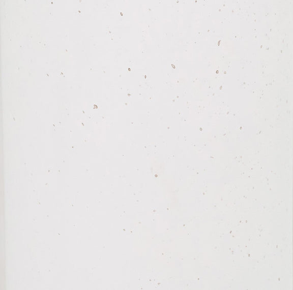 Tildy Concrete Side Table