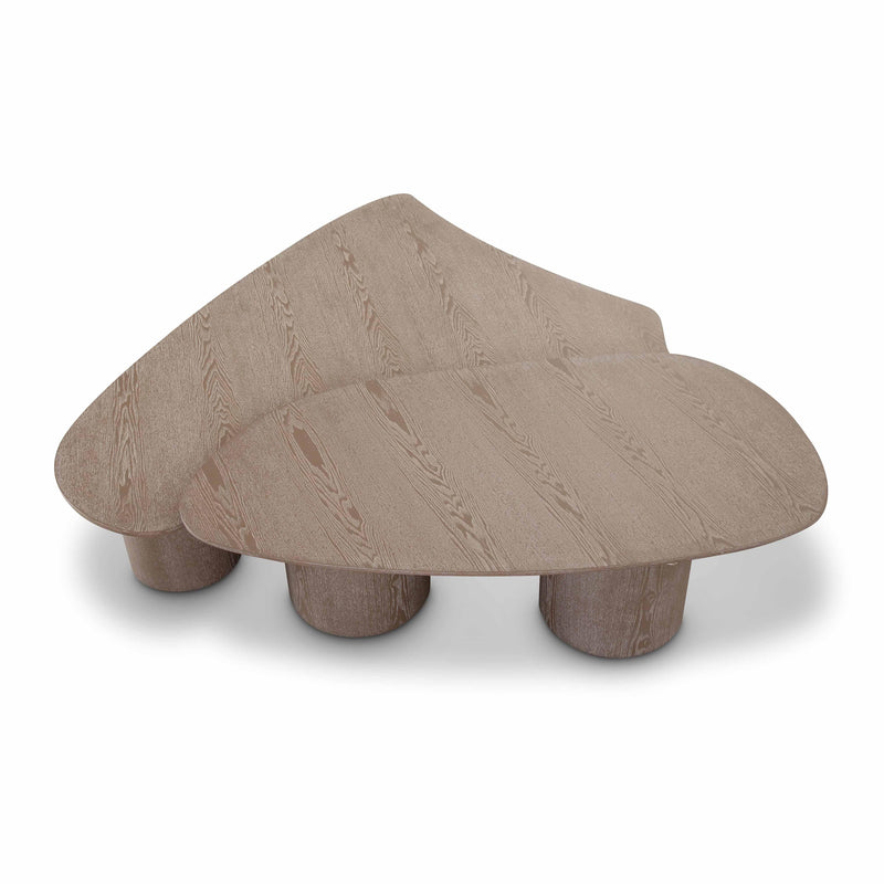 Rhema Washed Ash Nesting Coffee Table Set