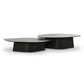 Roche Black Ash Nesting Coffee Table Set
