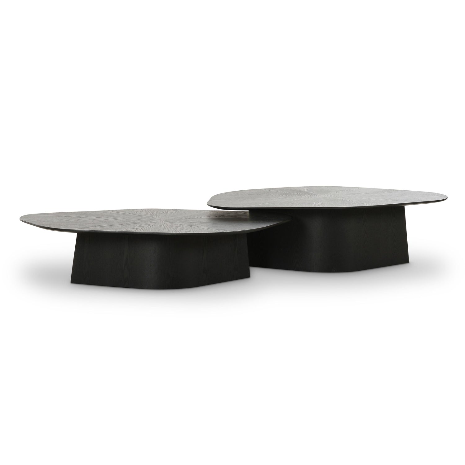 Roche Black Ash Nesting Coffee Table Set