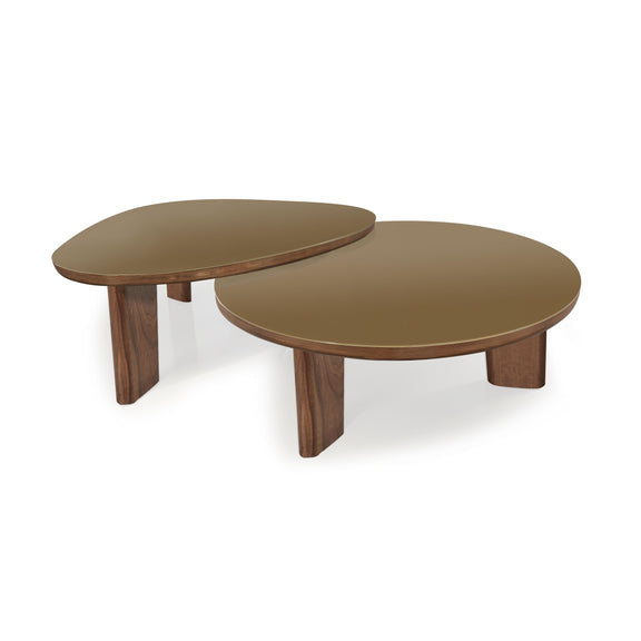 Oani Walnut and Glass Round Coffee Table