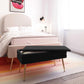 Ziva Black Velvet Storage Bench