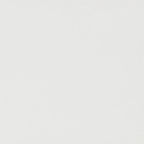 Patty 48" Rattan 2-Drawer Console Desk - White