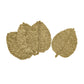 Leaf Natural Seagrass Placemat - Set of 4