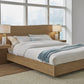 One Coastal Modern Full-size Live Edge Wall Bed with Floating Nightstands in Bisque
