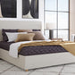 Olivia California King-Size Upholstered Platform Bed in Ivory (2026)