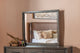 Koko Beveled Glass Wall or Dresser Mirror in Minx