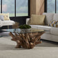 One Solid Teak Root Glass Top Coffee Table
