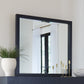 Argento Beveled Glass Wall or Dresser Mirror in Navy Blue